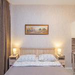 Optimal apartment for business people. Saint Petersburg 