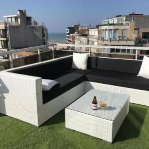 Penthouse VI