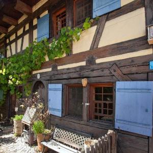 The historic Vogtshof - romantic fenced garden