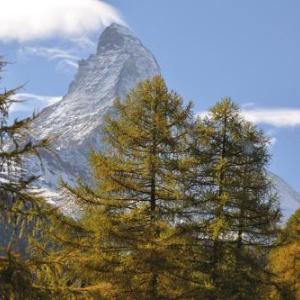 Zermatt Youth Hostel - Private Rooms