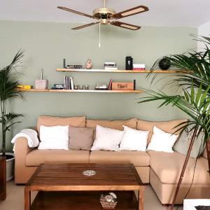 ABA Tropical & ABA Suite