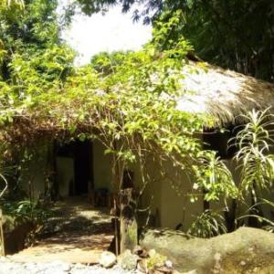 Casa Vida Verde