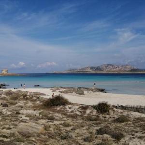 Cala Sabina Appartamento