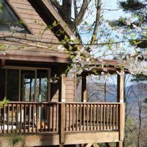 Asheville Town Cabin cabin