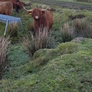 Trotternish B&B