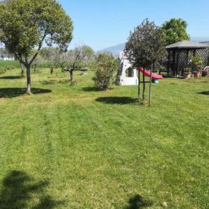 Holiday home in Bevagna/Umbrien 35494