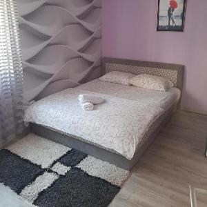 Zara Apartman Vrnjacka Banja