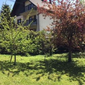 Holiday home Delnice/Gorski Kotar 34470