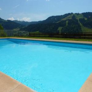 Appartement Morzine 1 pièce 4 personnes - FR-1-524-92