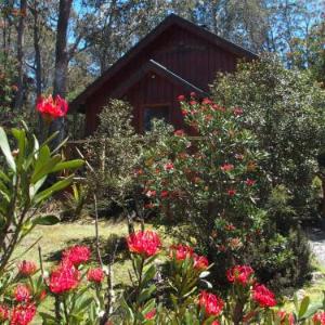 Cradle Mountain Highlanders