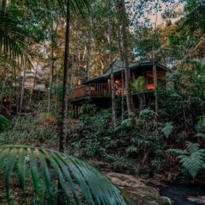 Australia Zoo Hotels - Narrows Escape Rainforest Retreat