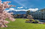 Te Anau New Zealand Hotels - Distinction Te Anau Hotel & Villas