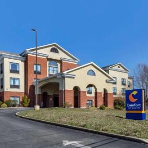 Washington College Hotels - Comfort Inn & Suites Chestertown