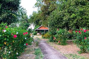 The Country Lake Nature Lodge Hotel (Pet-friendly), Uthai Thani
