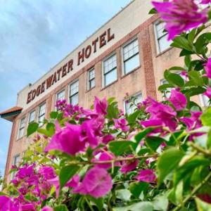 Hotels near Garden Theatre Winter Garden - The Edgewater Hotel