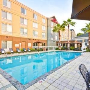 Hotels near Van Wezel Performing Arts Hall - Hilton Garden Inn Sarasota-Bradenton Airport