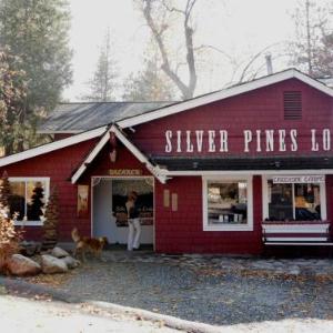 Hotels near Idyllwild Arts Campus - Silver Pines Lodge