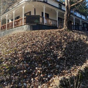 Huckleberry House