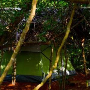 Sigiri Jungle Camping