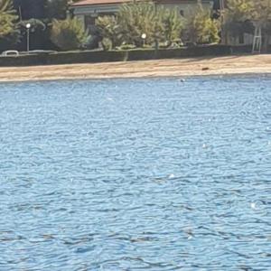 appartamento l'angolo casale grandangolo