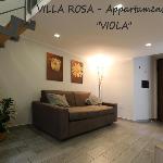 VILLA ROSA - Apartment n. 3 VIOLA Naples