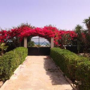 House with 6 bedrooms in Pachino with wonderful sea view enclosed garden and WiFi 20 m from the beach