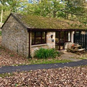 Cosy Woodland Home