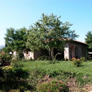 Castel del Piano Villa Sleeps 6 Pool WiFi