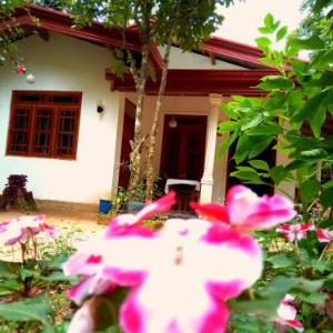 Ella Jungle Inn Homestay And Tree House