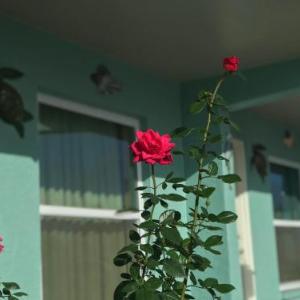 Hotels near Big Cypress Indian Reservation - Immokalee Inn