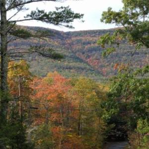 Tentrr - Catskill View Pond