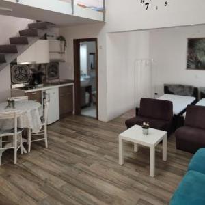 Centar Novi Sad-Apartman No 3 PARKING ON REQUEST