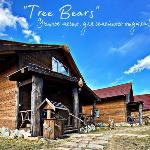 Guest House Three Bears Belokurikha 