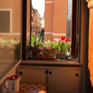 ROOM for rent IN ROME TRASTEVERE