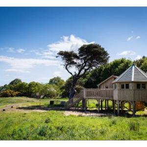 Harvest Moon Treehouse