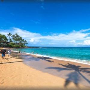 300 Steps to Beach Napili Shores New A/C