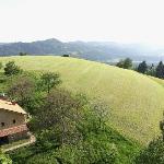 A perfect nature getaway on the top of a hill 