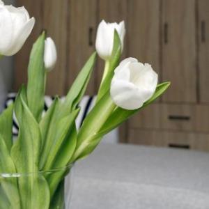 White Tulip Apartment