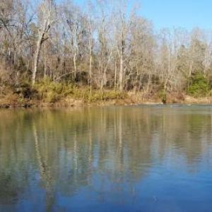 Safari on Glover River cabin