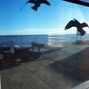 Apartment am Strand Silbermöwe 1 - [#109719]