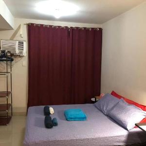 ANTEL SPA-24