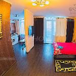 One bedroom apartment on Alekseeva 47 Krasnoyarsk