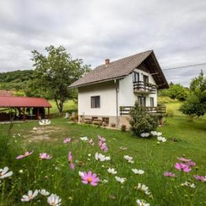 Holiday house On the riverside