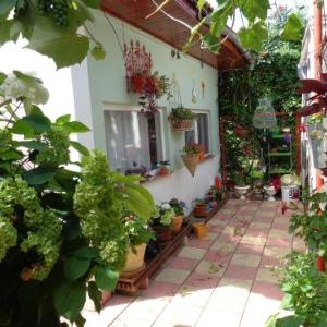 Casa Munteanu