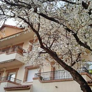 Apartment with one bedroom in La Adrada with wonderful mountain view furnished terrace and WiFi