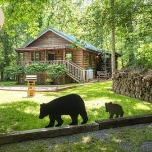 Cozy Bear Free Attraction Tickets Hot Tub WIFI Fireplace!!!