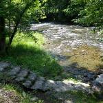 The Briar Patch Sevierville Tennessee