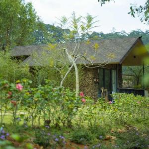 Dhalia Stream View Cottage
