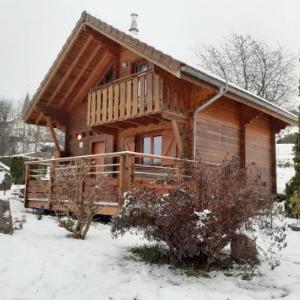 Chalet Le Syndicat 3 pièces 4 personnes - FR-1-589-155