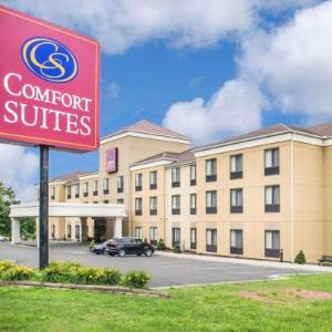 Comfort Suites Vestal near University